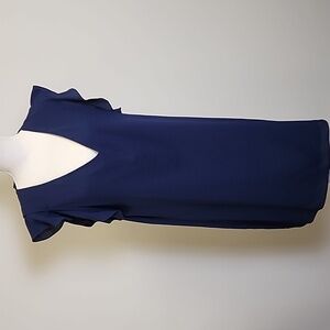 Elegant Navy Blue Ruffle Sleeve Dress